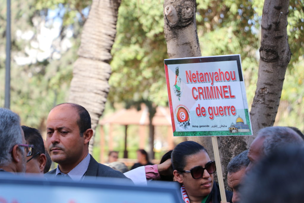 المسيرة الوطنية لنصرة فلسطين - الرابطة التونسية للدفاع عن حقوق الانسان (10)