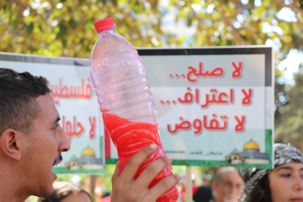 المسيرة الوطنية لنصرة فلسطين - الرابطة التونسية للدفاع عن حقوق الانسان (11)