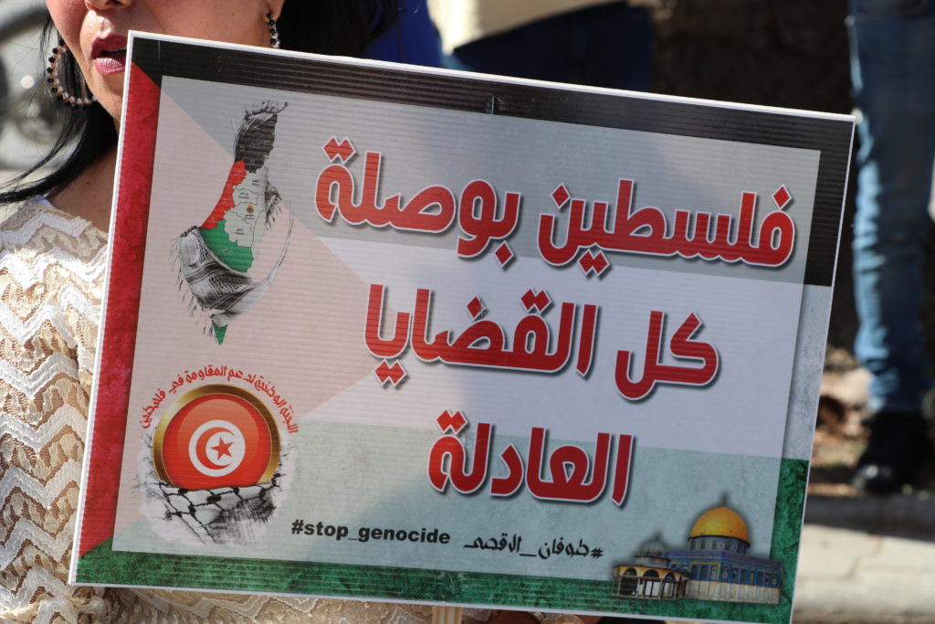 المسيرة الوطنية لنصرة فلسطين - الرابطة التونسية للدفاع عن حقوق الانسان (16)