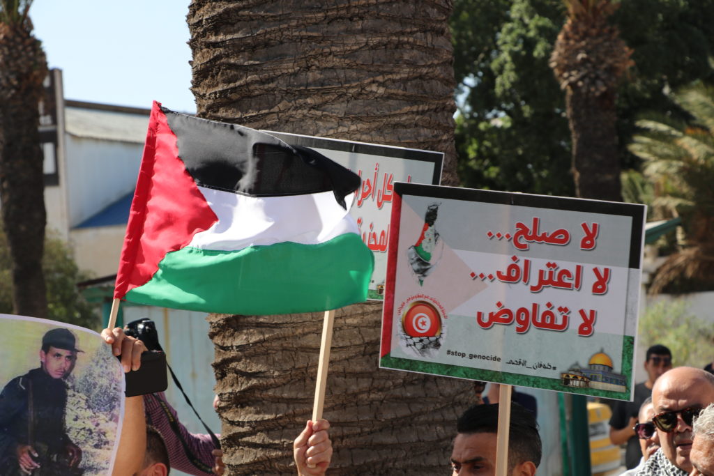 المسيرة الوطنية لنصرة فلسطين - الرابطة التونسية للدفاع عن حقوق الانسان (20)