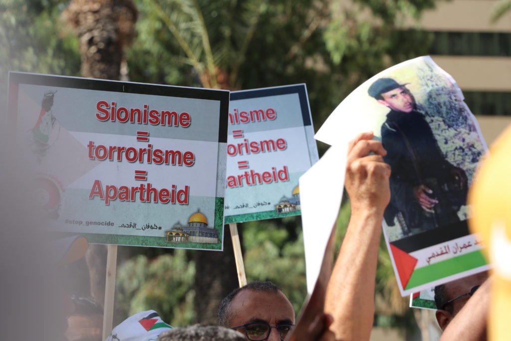 المسيرة الوطنية لنصرة فلسطين - الرابطة التونسية للدفاع عن حقوق الانسان (24)