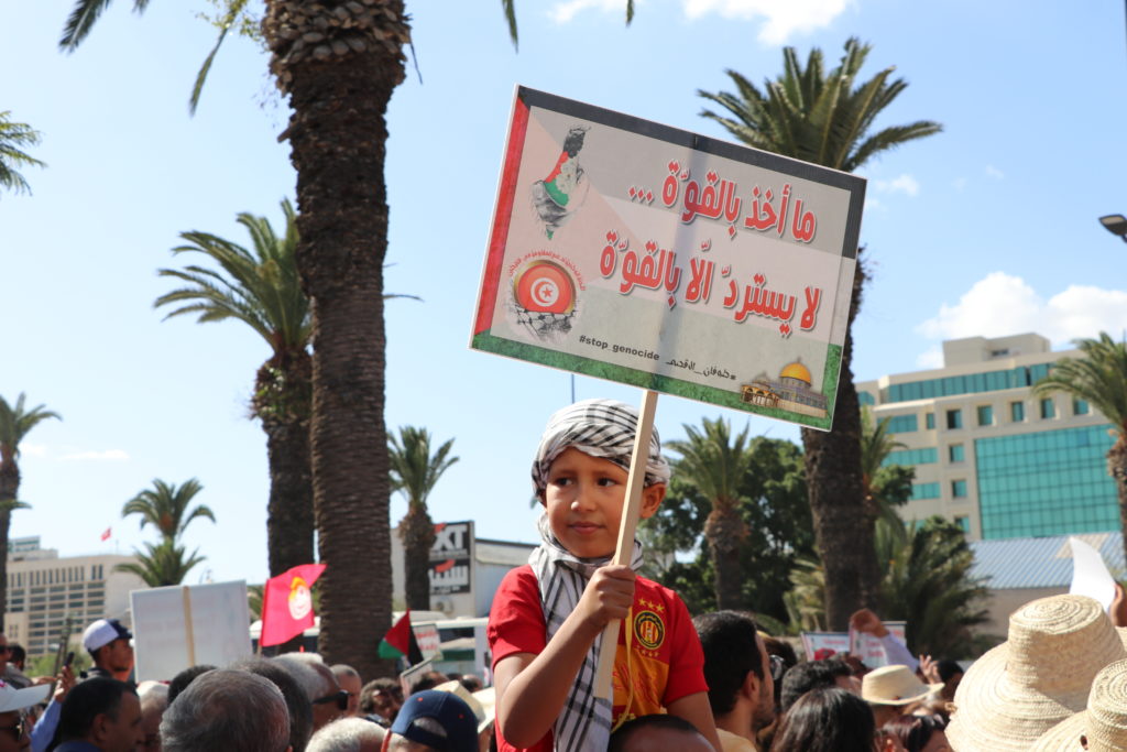 المسيرة الوطنية لنصرة فلسطين - الرابطة التونسية للدفاع عن حقوق الانسان (28)