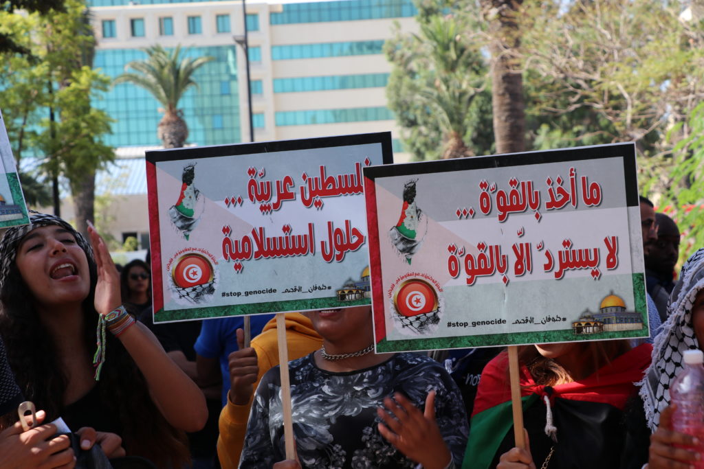 المسيرة الوطنية لنصرة فلسطين - الرابطة التونسية للدفاع عن حقوق الانسان (7)